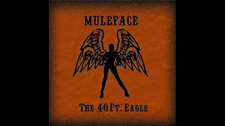 MuleFace  The 40 Ft Eagle full Album 2004 [upl. by Suckow]