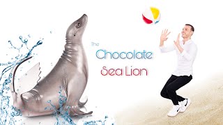 CHOCOLATE SEA LION [upl. by Chemush]