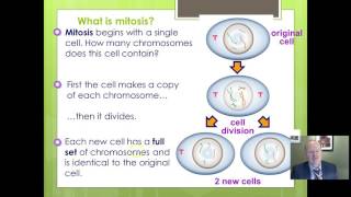 OCR Biology 12  Cell Cycle and Mitosis [upl. by Nerot]