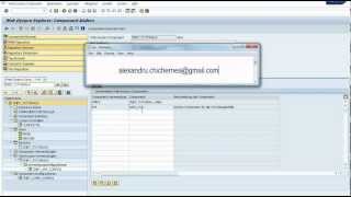 Build a Simple Web Dynpro ABAP Application OVS Object Value Selector PART 10 [upl. by Marabelle]