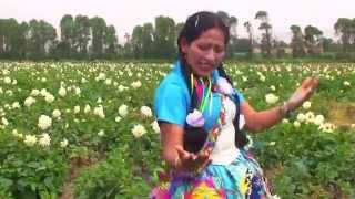 FLORCITA DE SUCRE CARNAVAL HD TUYAS WACCAN [upl. by Nitsej]