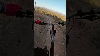 Braking Bumps mtb [upl. by Maryanna]