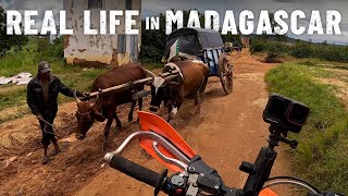 No electric cars Oxwagons instead MADAGASCAR 🇲🇬S7E94 [upl. by Nnainot]