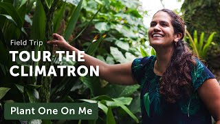 CLIMATRON TOUR at the Missouri Botanical Garden — Ep 255 [upl. by Jephthah]