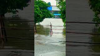 godavari river live  Nanded City Flood  Latest News  2 September 2024 [upl. by Hance]