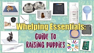 Whelping Essentials Guide to raising puppies [upl. by Annyl]