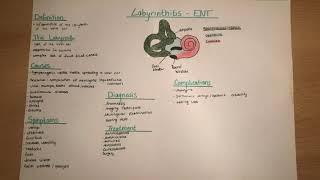 Labyrinthitis  clinics causes symptoms diagnosis complications treatment [upl. by Vittorio]