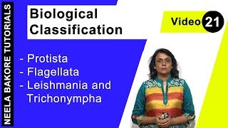 Biological Classification  NEET  Protista  Flagellata  Leishmania amp Trichonympha  Neela Bakore [upl. by Garland]