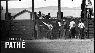 Livermore Rodeo 19301939 [upl. by Grant56]