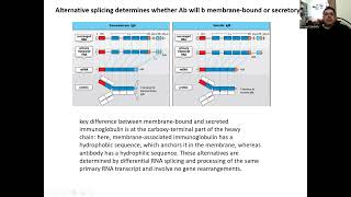 Genetic basis of membrane bound amp secretory antibody [upl. by Relda]