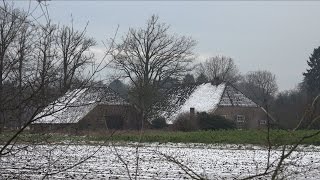 Boerderij De Tragter in Vorden [upl. by Fallon]