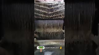 Sugar Factory work Part Please Like and subscribe [upl. by Erimahs]