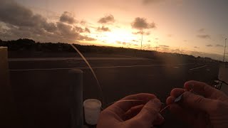 Lure fishing for salmon at Port Macdonnell [upl. by Savell]