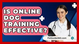 Is Online Dog Training Effective  PetGuide360com [upl. by Mazur580]