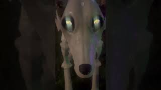 Part 4 7 ft Skellys DogHome Depot halloween homedepot dog [upl. by Cumings923]