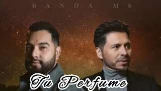 Tu Perfume  Banda MS [upl. by Anaerol716]