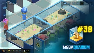 Megaquarium Vlog38 Playtesting pt 1 [upl. by Carita]