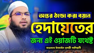 অন্তর ঠান্ডা করা বয়ান মাওলানা ইসমাইল হোসেন বুখারীর নতুন ওয়াজ ২০২৪ Ismail Bukhari Kasiani Waz [upl. by Anialad635]