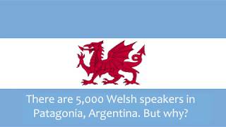 Why do 5000 people speak Welsh in Patagonia [upl. by Sirap]