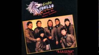 PEGASSO NO MAS [upl. by Ear]