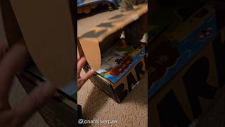 september 🏴‍☠️🦜 bark box 20 barkbox barkboxunboxing barkboxday BarkBox [upl. by Nevil]