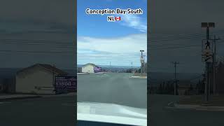 Conception Bay South NL 🇨🇦 newfoundland canada trending viral shortvideo shorts cbs [upl. by Octavie]