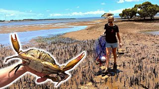 LAND BASED MUD CRABBING in Southern Moreton Bay  SEQ [upl. by Volpe]