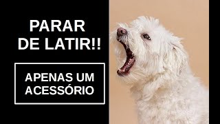 😀 Como Fazer o Cachorro Parar de Latir 🐕 Adestramento de Cães ✅ Como Diminuir o Latido [upl. by Apostles]