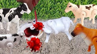 COW CARTOON VIDEO COW🐄 QURBANI VIDEO KIDS VIDEO COW CARTOON [upl. by Garfinkel]