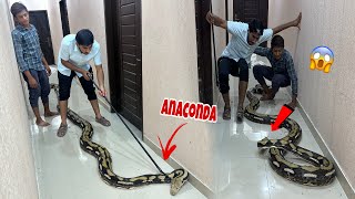 Big Anaconda Ko Paker Liya 😱 [upl. by Langdon]