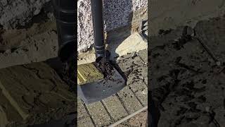 How to Unblock a Gutter Downpipe Remove Soil amp Plant Debris Fastquot [upl. by Atikim]