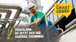 Wie setzt sich der Gaspreis eigentlich zusammen SMARTGEBER Paul klärt auf [upl. by Sitra355]