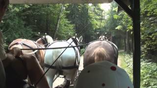 Mackinac Island Carriage Tour brief excerpts [upl. by Fennessy]