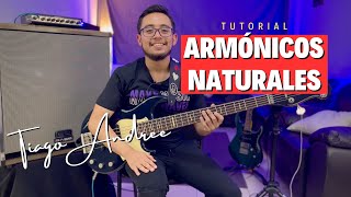 Armónicos Naturales  Tutorial para bajo  Tiago Andree [upl. by Jasik]