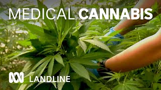 Boom in use of medical cannabis in Australia 🌿⚕  Landline  ABC Australia [upl. by Zohara]