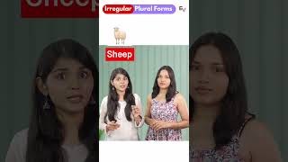 Singular And Plural In English Grammar englishspeaking englishgrammar plural shorts [upl. by Ailliw10]