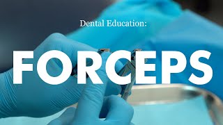 Demonstration of forceps technique for dental extraction [upl. by Anayet]