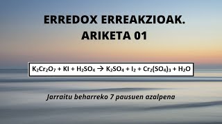 Erredox erreakzioak ARIKETA 01 [upl. by Joellen]