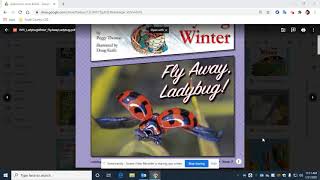 Ladybug Winter amp Fly Away Ladybug by Peggy Thomas Read Aloud [upl. by Jt]