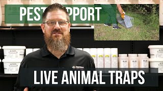 How do You Set a Live Animal Trap  Pest Support [upl. by Felisha]