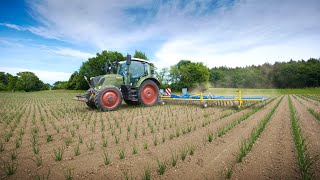 Treffler PräzisionsZinkenstriegel  Fendt Vario [upl. by Knepper714]