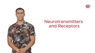 Neurotransmitters and Receptors [upl. by Aikemot]