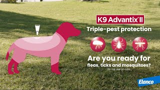 Its Flea and Tick Season — Be Prepared with K9 Advantix® II [upl. by Chrysa491]