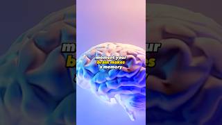 Watch How A Brain Makes A Memory 🤯 [upl. by Hammerskjold]