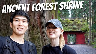 Day In My Life Exploring Central Japan  Inside Japan’s ANCIENT Forest Shrine [upl. by Xeno]