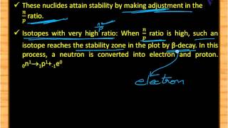 Stability of nucleus NbyP ratio [upl. by Llertnor502]