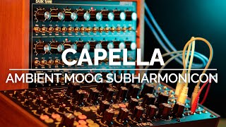 Capella  Generative Moog Subharmonicon  Doepfer Dark Time [upl. by Nosyla292]