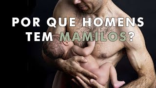 8 partes do seu corpo que não servem para absolutamente NADA [upl. by Erdnoid]