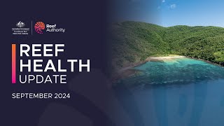 Reef health update  September 2024 [upl. by Anilesor]