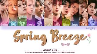 WANNA ONE 워너원 – SPRING BREEZE 봄바람 Color Coded Lyrics EngRomHan가사 [upl. by Ladin547]